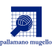 Logo PALLAMANO MUGELLO EUROMED