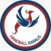 HANDBALL KARALIS