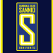 PRIME SERVICE SANNIO