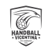 HANDBALL VICENTINA ASD