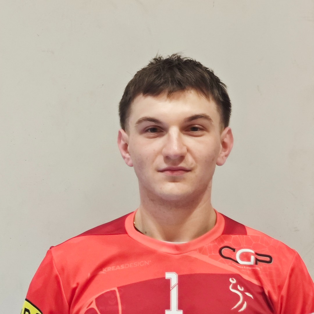Ion Gaiu